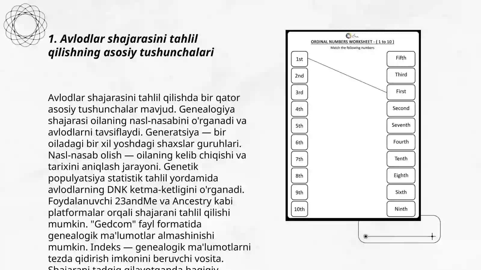 Avlodlar shajarasini tahlil qilishning asosiy tushunchalari 3