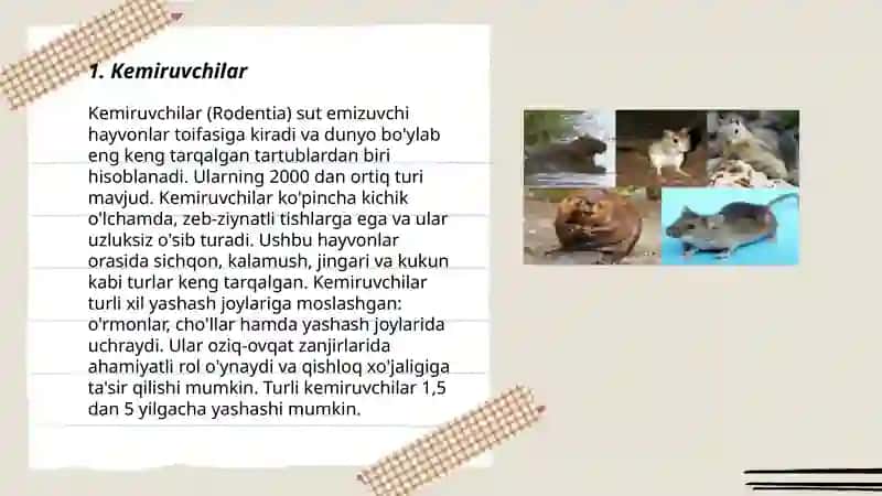 Biozararlovchi sutemizuvchilar, asosiy sistematik guruhlari va vakillari 3