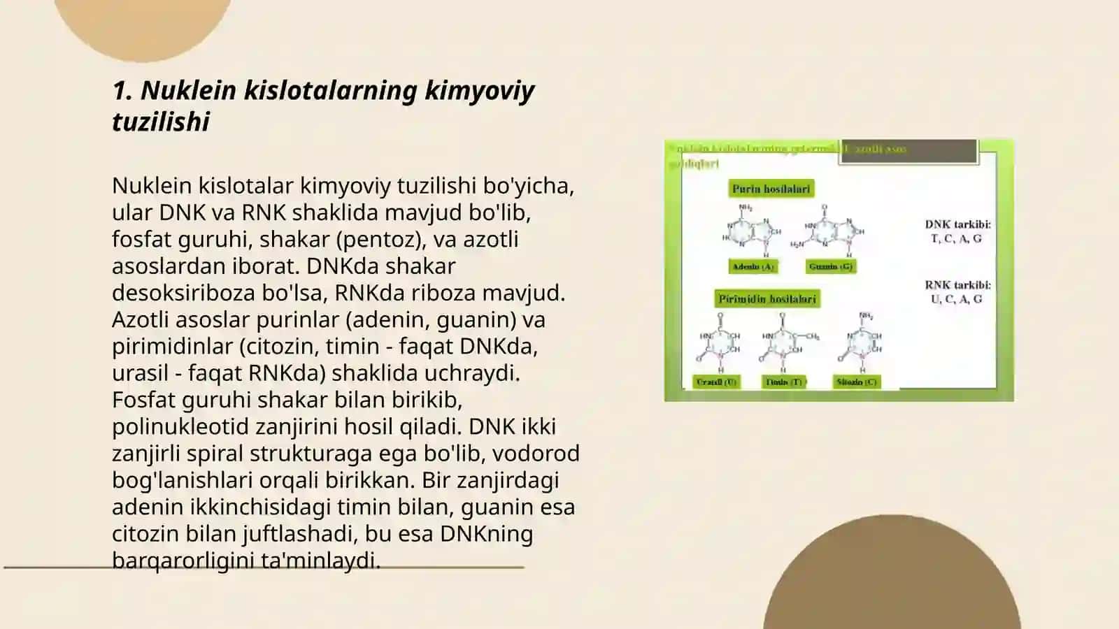 Nuklein kislotalar gidrolizi va mahsulotlari 3