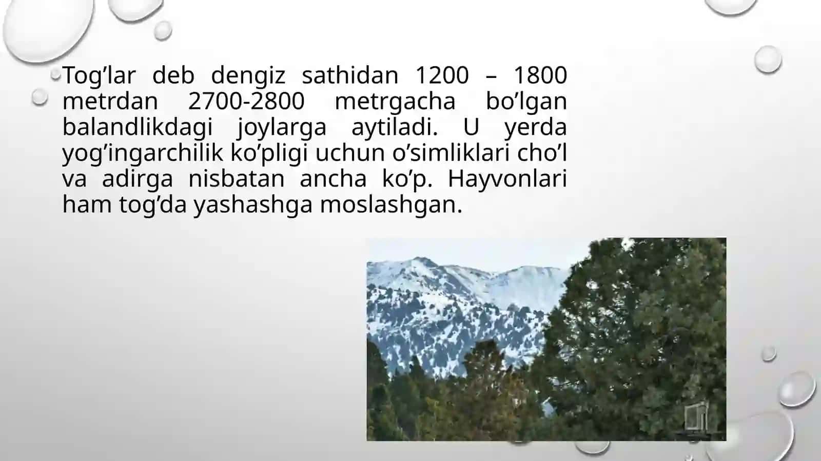 tog’ va yaylov o’simliklari va hayvonlari hamda ularning geografik tarqalishi 3