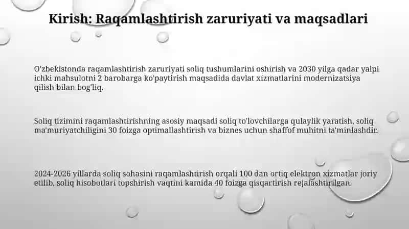 O'zbekistonda soliq tizimini raqamli trasformatsiyasi 3