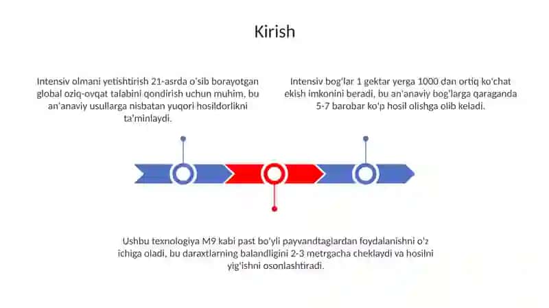 Intensiv Olmani Yetishtirish Texnologiyasi 3
