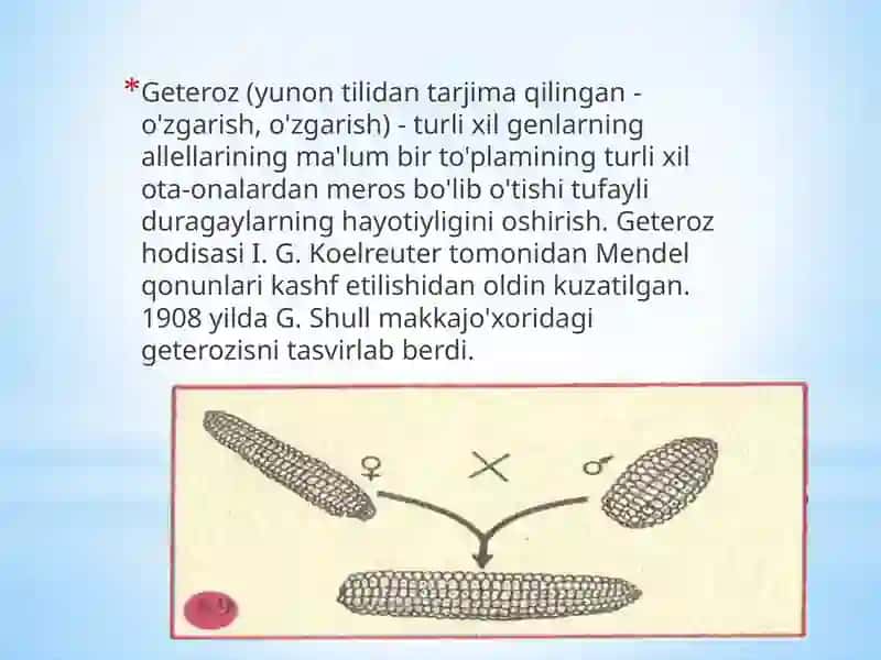 Geterezis 3