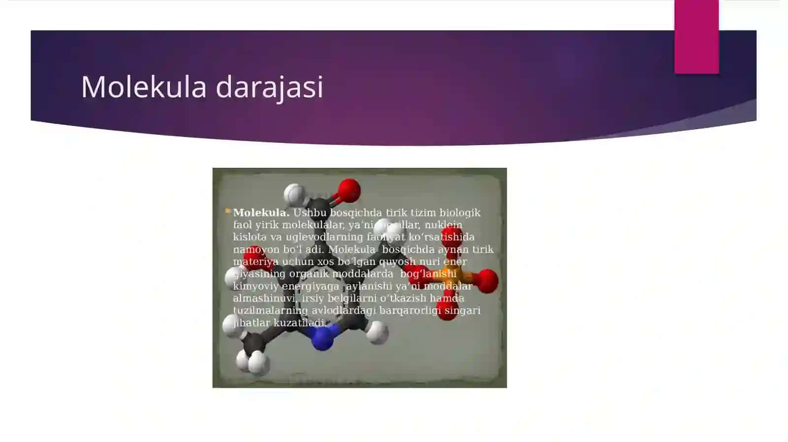Tiriklikning tuzilish darajalari 3
