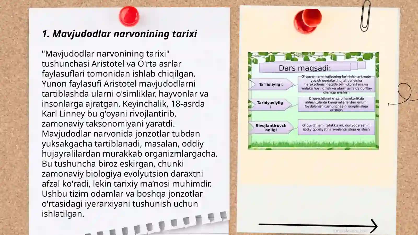 Mavjudodlar narvoni joylanish nazariyasi haqida 3