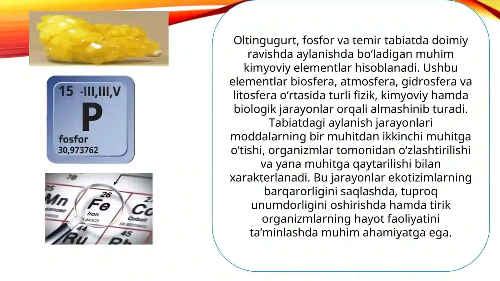 “Oltingugurt, fosfor va temirning tabiatda aylanishida mikroorganizmlarning roli” 3