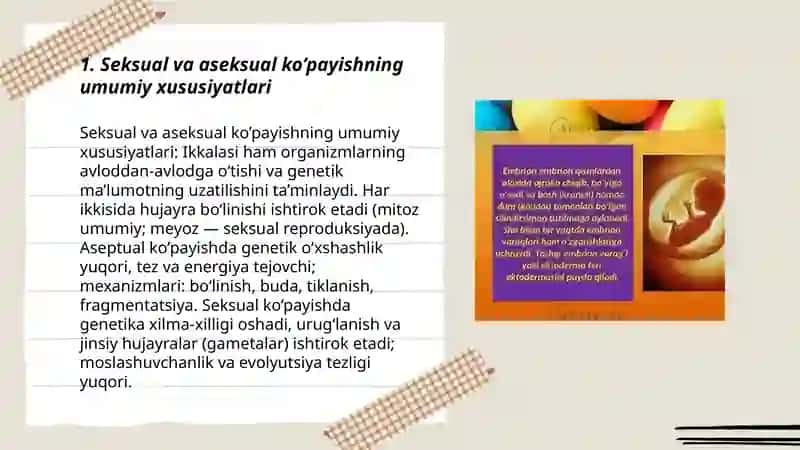 Organizmlarning ko’payishi proembrional rivojlanishning umumiy qonuniyatlari 3