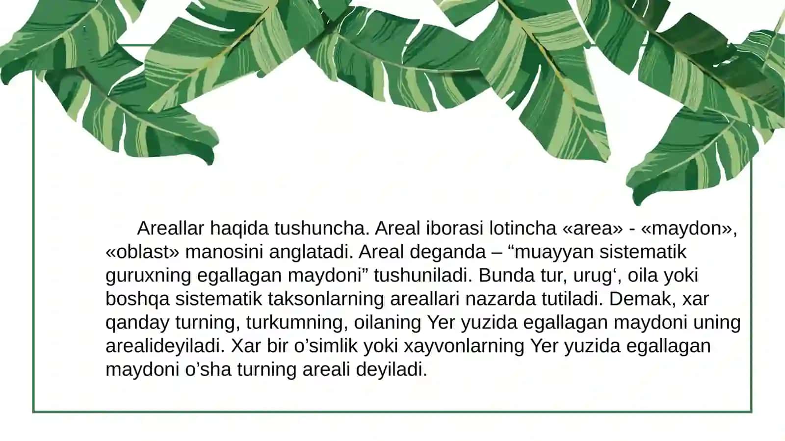 Mustaqil ishi 3