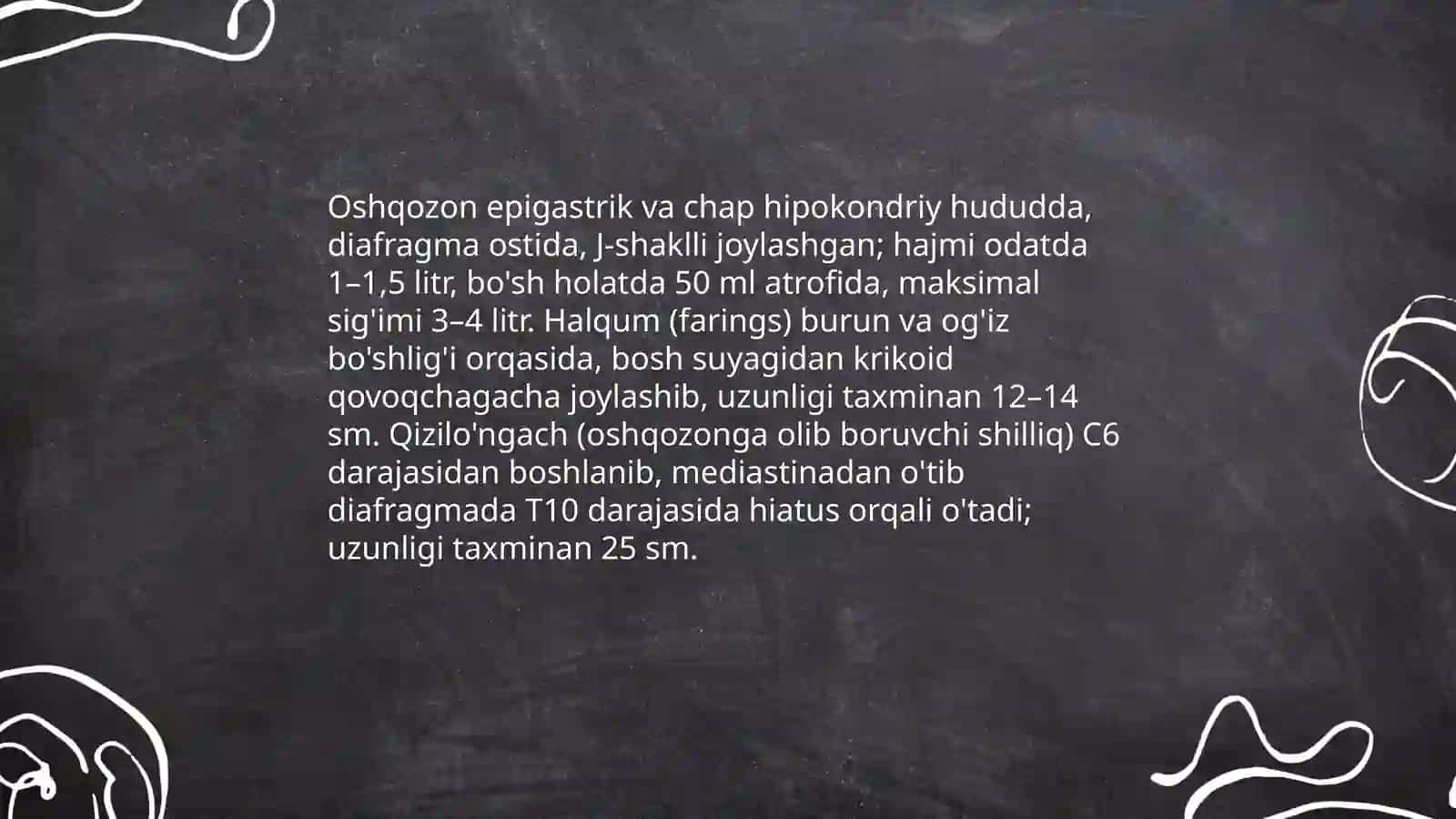 Oshqozon, halqum va qizilo'ngachning anatomik joylashuvi 3