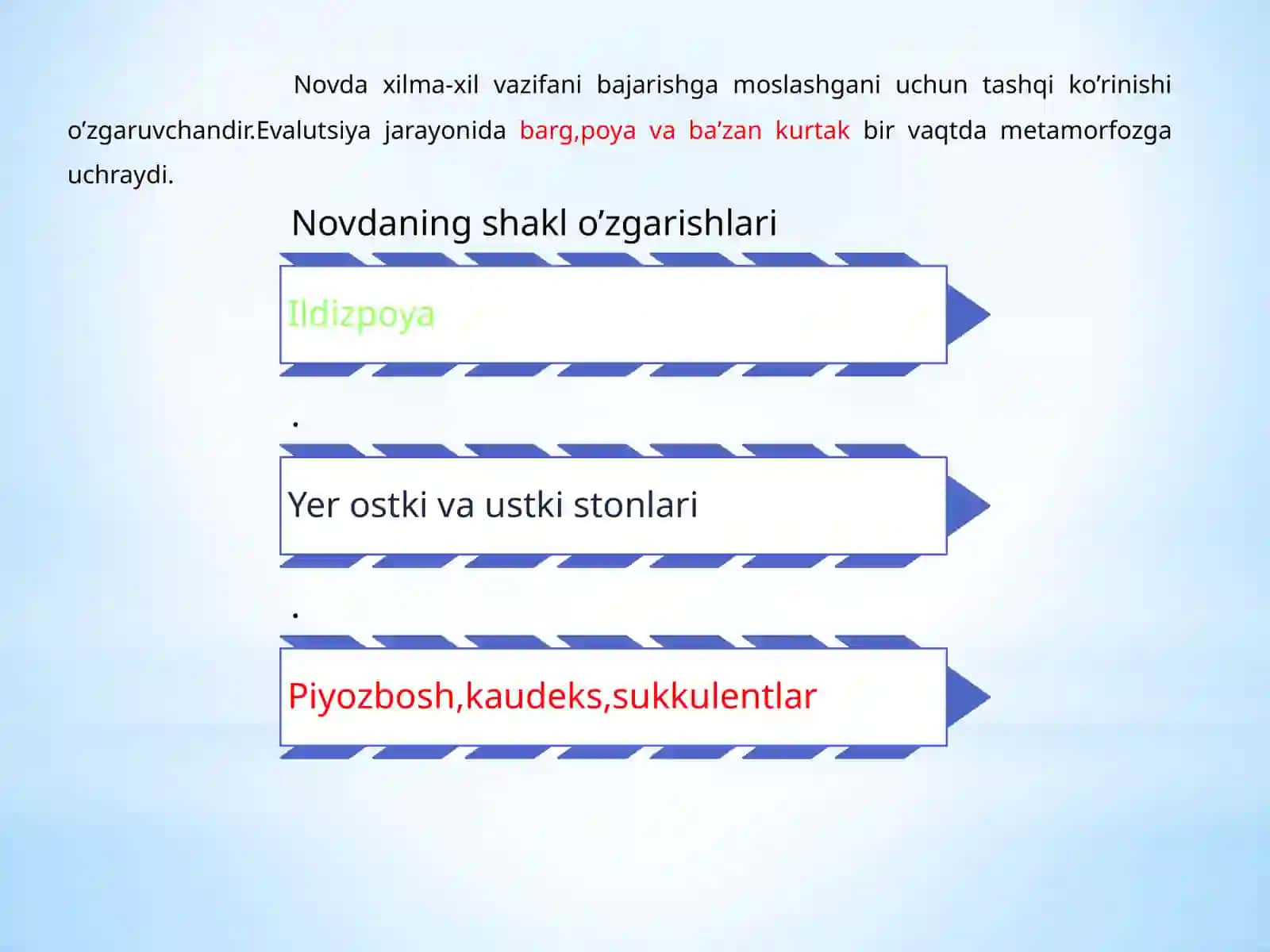 VEGETATIV ORGANARNING IXTISOSLASHUVI VA ULARNING BIOLOGIK AHAMIYATI 3
