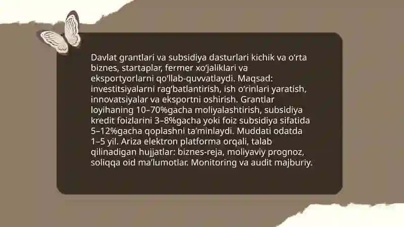 Davlat grantlari va subsidiya dasturlari 3