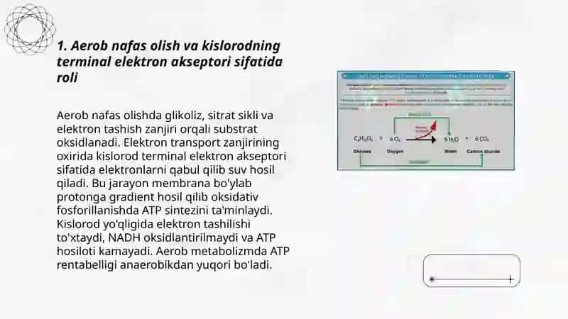 Biologik oksidlanish reaksiyalarida kislorodning istemol qilinish yollari 3