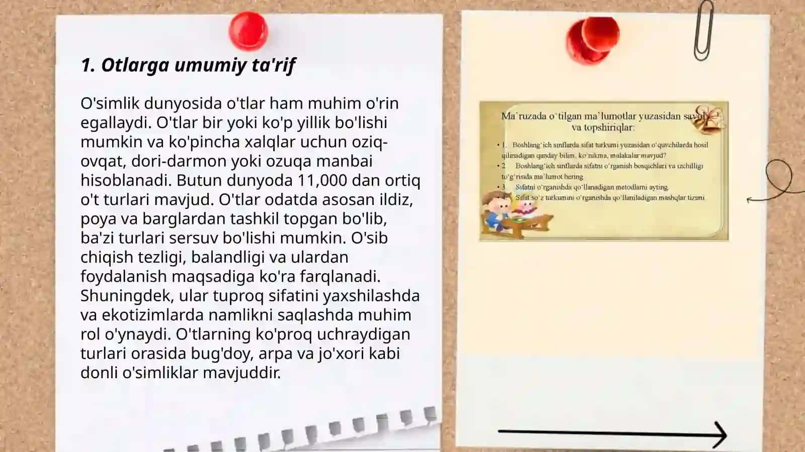 Boshlangʻich sinflarda Ot soʻz turkumi 3
