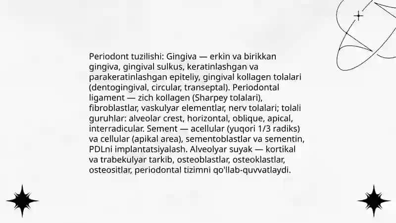 Periodont tuzilishi, vazifalari. Yoshga xos o’zgarishlar 3