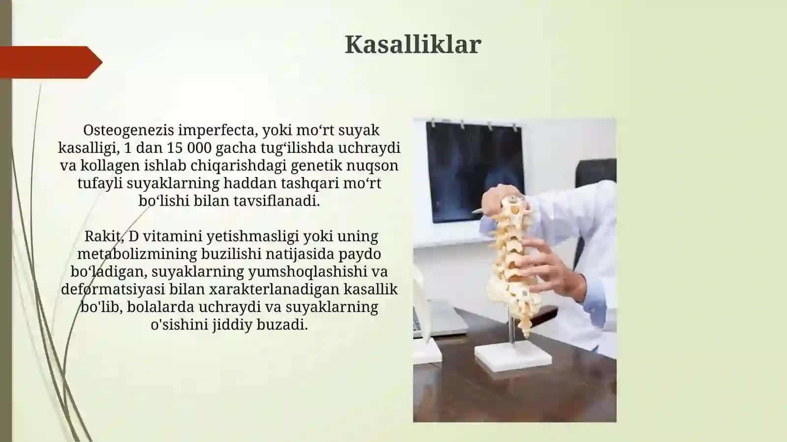 Suyaklarning o'sishi rivojlanishiga ta'sir etuvchi omillar 3