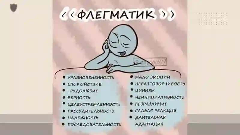 Как управлять флегматиком 3