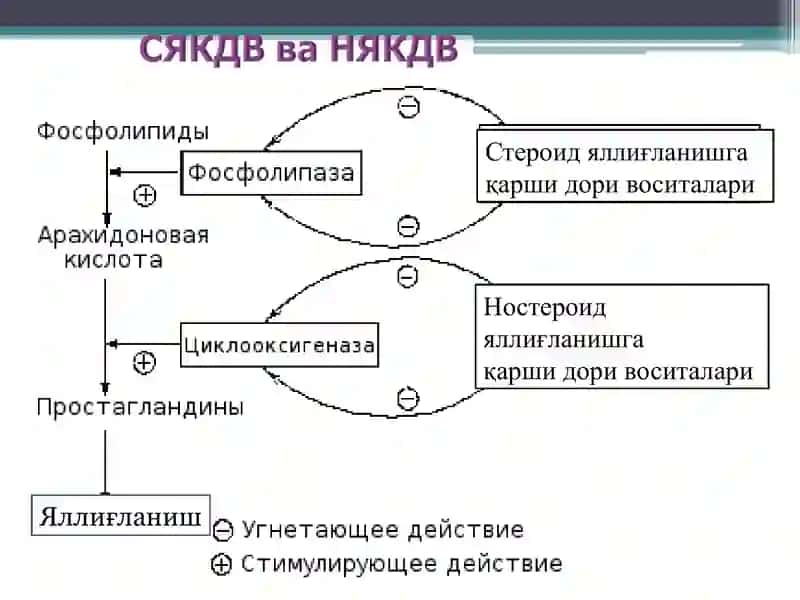 Ностероидяллиғланишга қарши дори воситалари 3