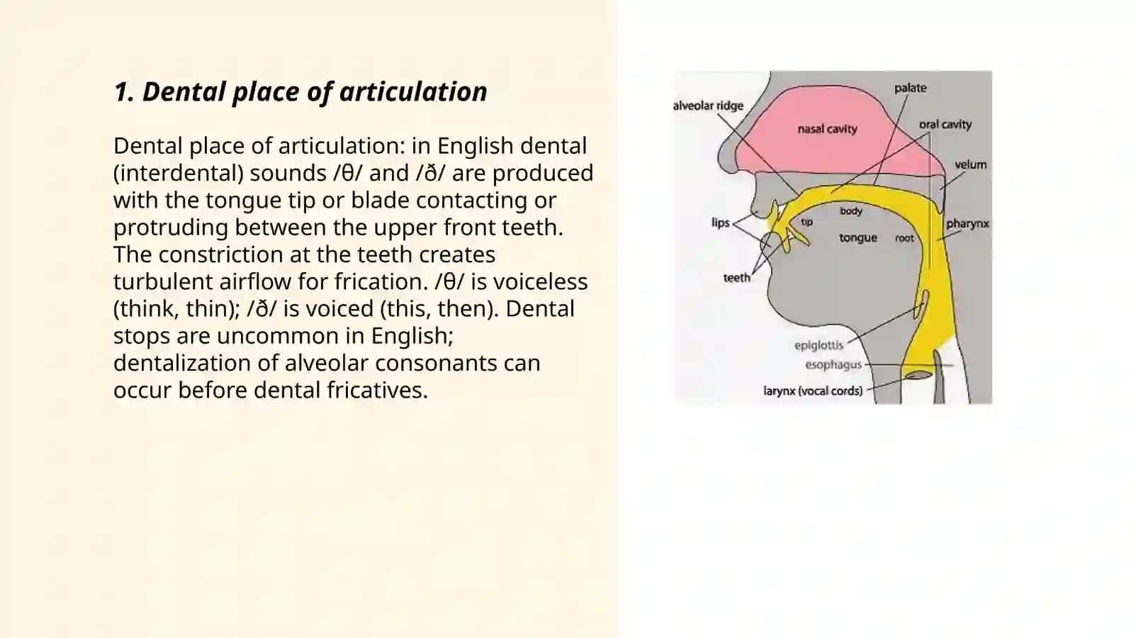 Dental sounds 3