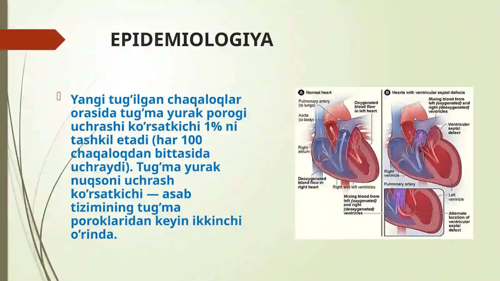 Toshkent Tibbiyot Akademiyasi MUSTAQIL ISH 3