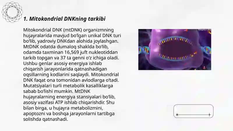 Shaxs identifikatsiyasida mitokondrial DNKning ahamiyati 3