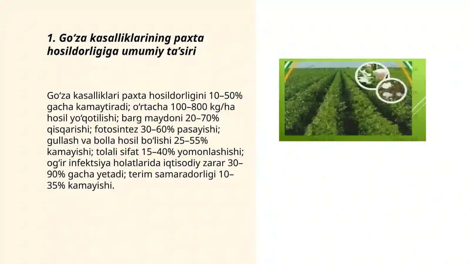 Go‘za kasalliklari va zararkunandalarining paxta hosildorligiga ta’siri 3