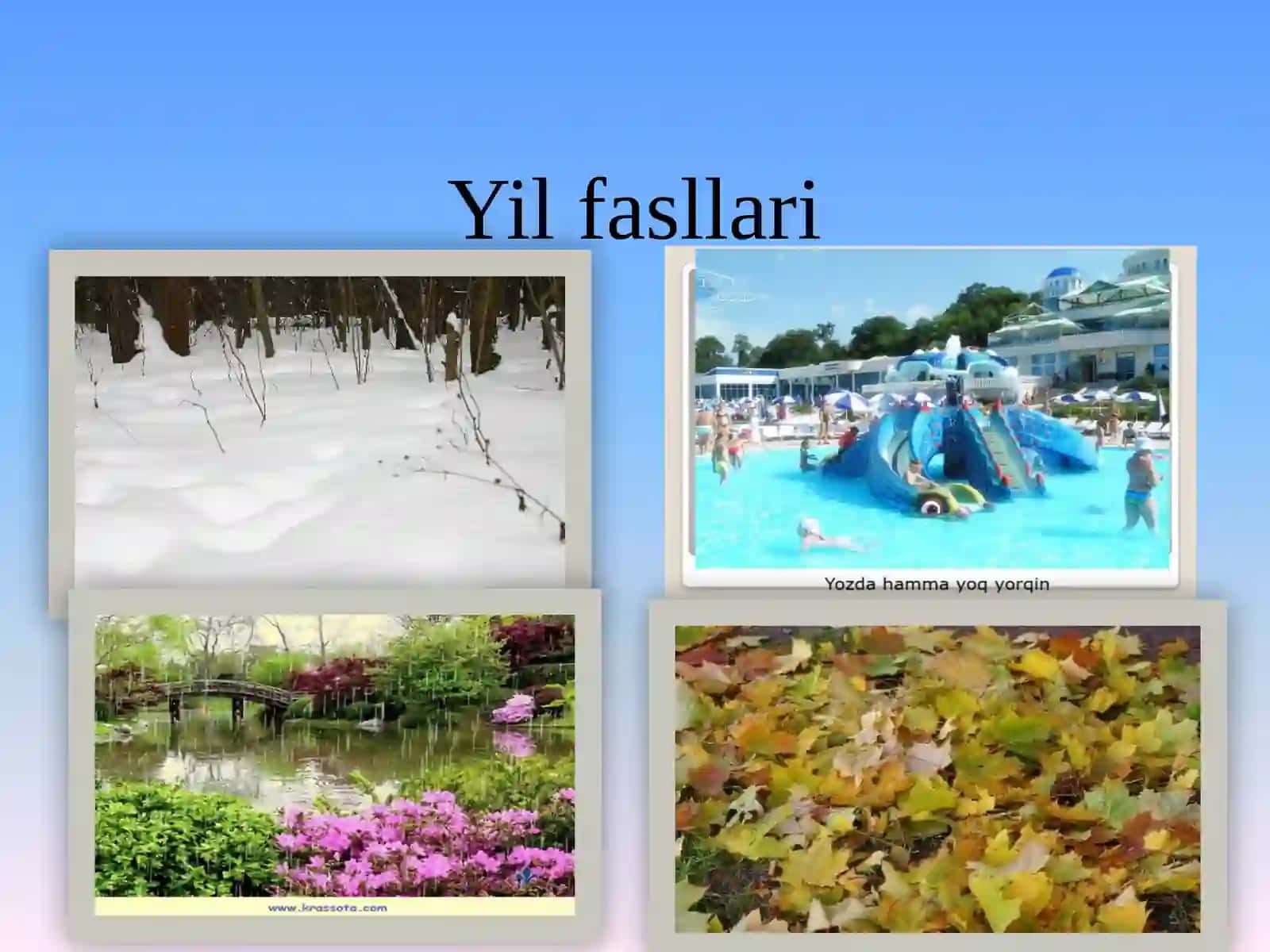 3-sinf Tabiiy Fan (Science) Qushlar va parrandalar dars taqdimot 3