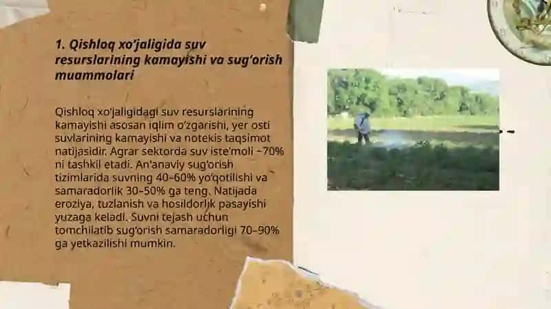 Qishloq xòjaligi va ekologik muammolar 3