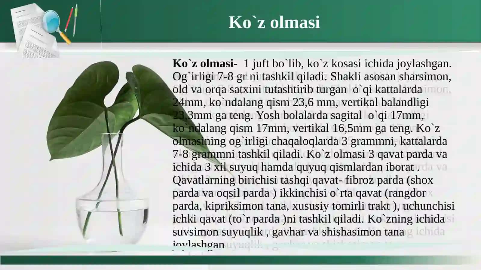 КO`RUV A`ZOLARININGКLINIKАNATOMIYASI VA FIZIOLOGIYASI.KO`ZNING FUNKSIYALARI 3