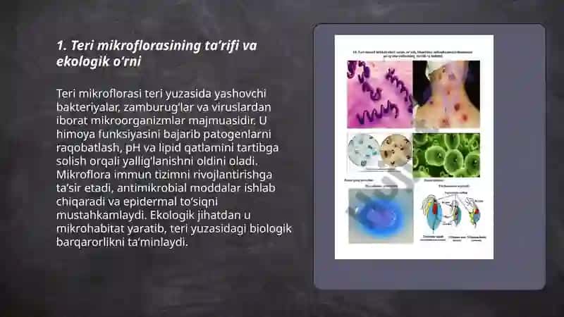 Teri mikroflorasi va uning inson sogligʻidagi roli 3