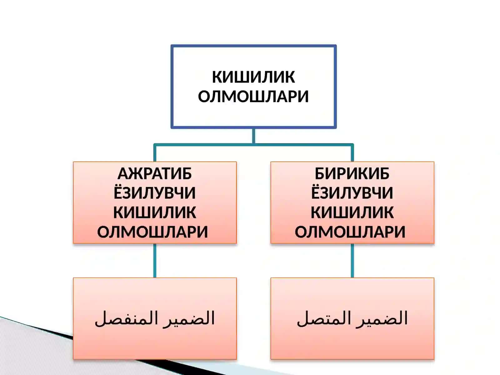 КИШИЛИК ОЛМОШЛАРИ 3