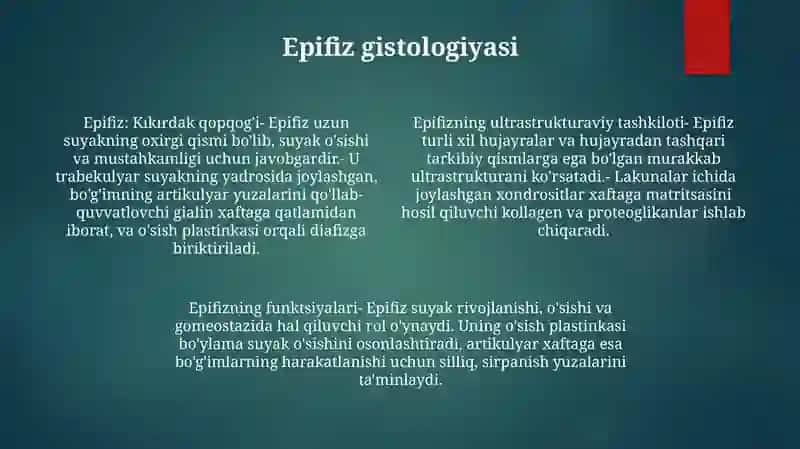 Epifizning Ultrastrukturaviy Tashkil Etilishi Va Funksiyalari 3