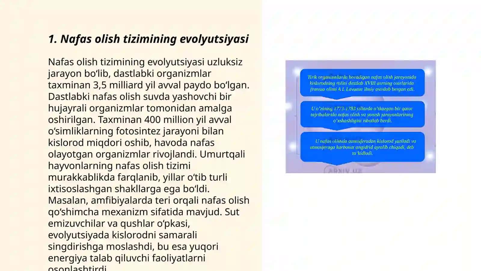 Nafas olish tizimining evolyutsiyasi 3