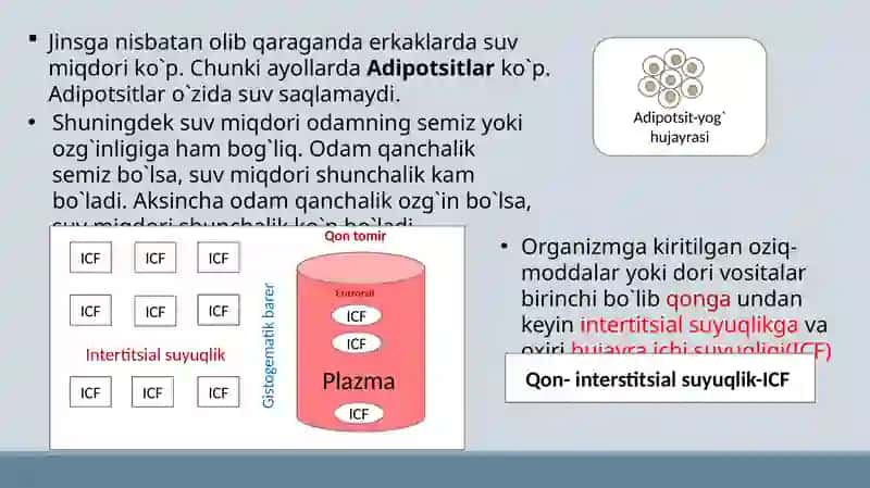 Organizmning biologik suyuqliklari. Qonning fizikaviy kimyoviy xossalari. Eritrotsitlar fiziologiyasi. Gemoglobin 3