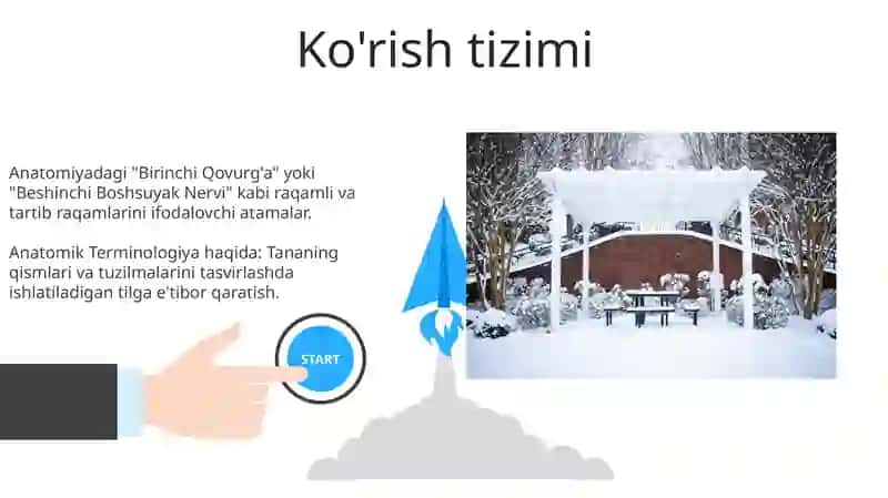 Son. Tartib va sanoq sonlar. Eshitish tizimi. Anatomik terminologiya bo'yicha. Ko'rish tizimi. Kollakvium 3