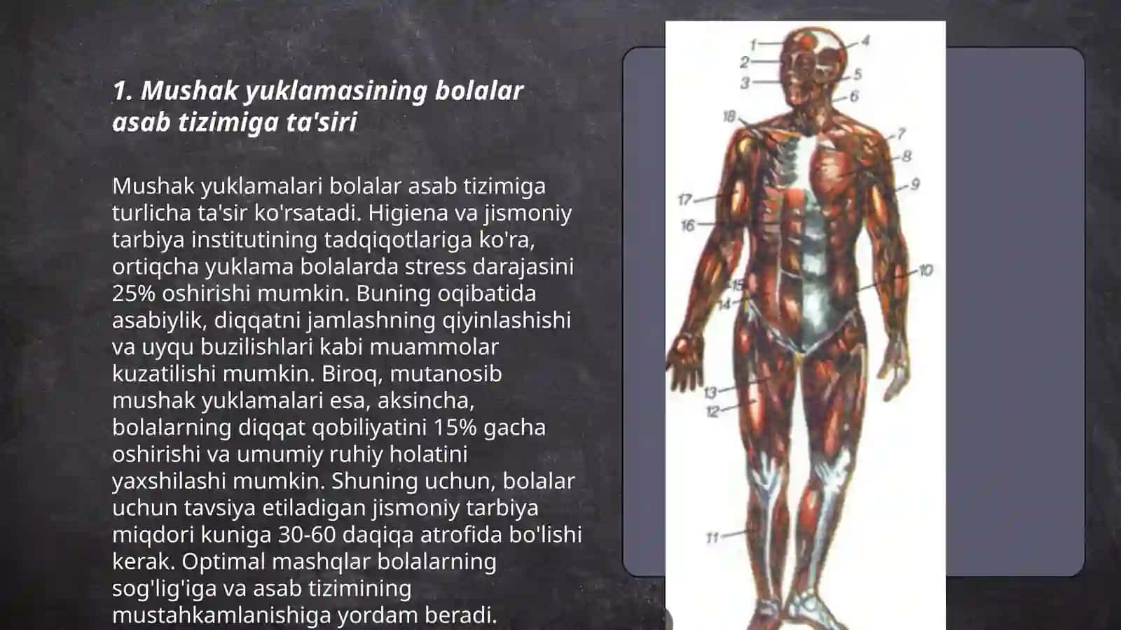 Mushak yuklamasining bolalar asab tizimi tayanch harakat apparatining funksional holattlariga ta'siri 3