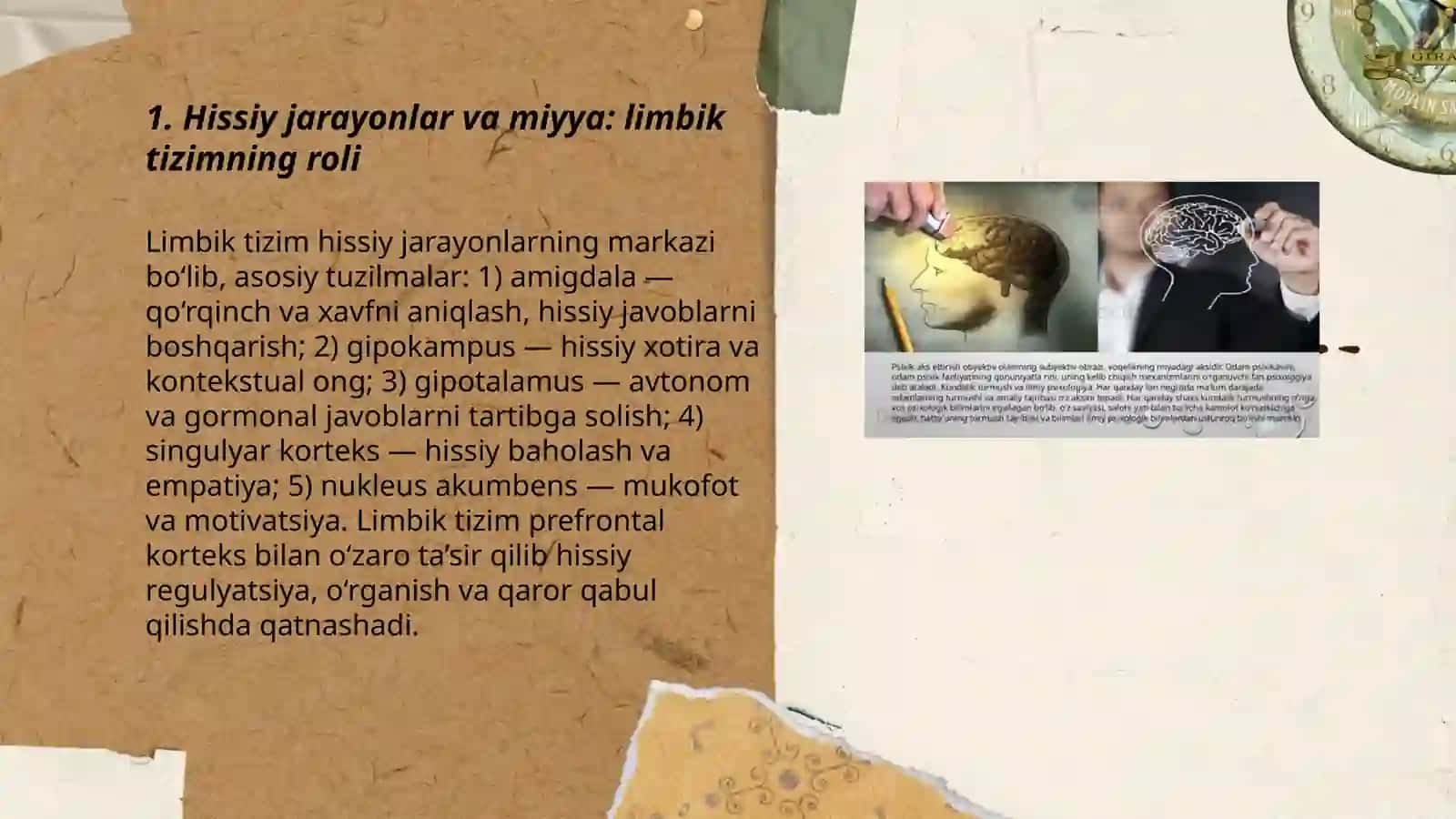 Psixik jarayonlar va miyyaning o’zaro aloqadorligi 3