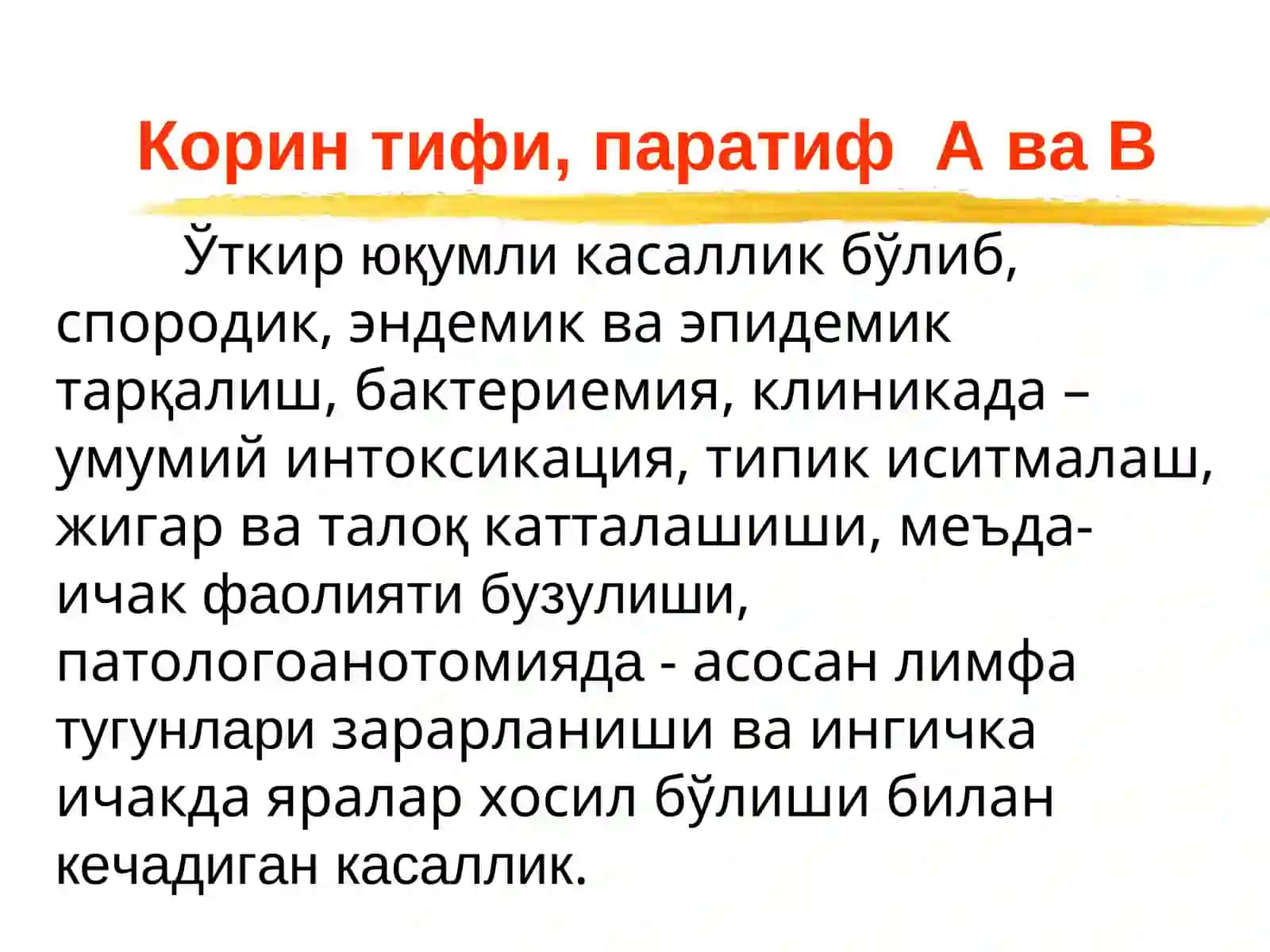 Ич терлама – қорин тифи (typhus abdominalis) 3
