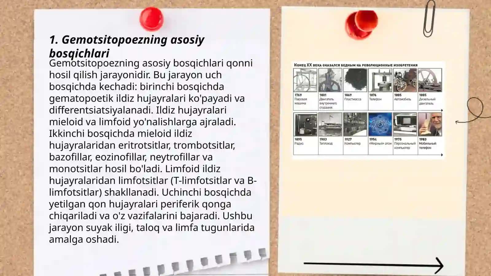 Gemotsitopoez jarayonining boshqariluvi 3