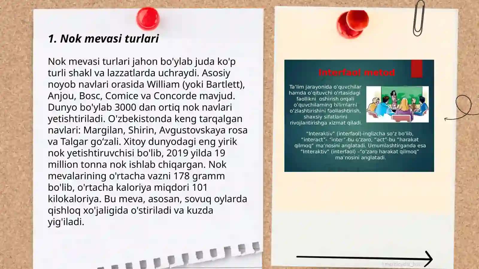 Nok mevasi va uning xalq tabobatidagi ahamiyati 3