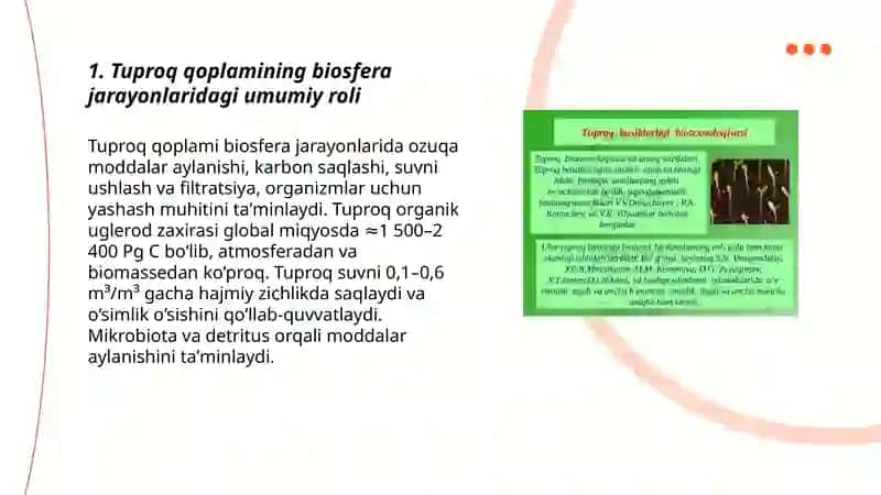 Tuproq qoplamining biosfera va ishlab chiqarishdagi roli va ahamiyati 3