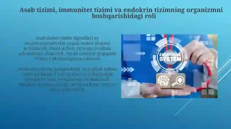 Organizmning nerv, immun va endokrin boshqarilishi 3