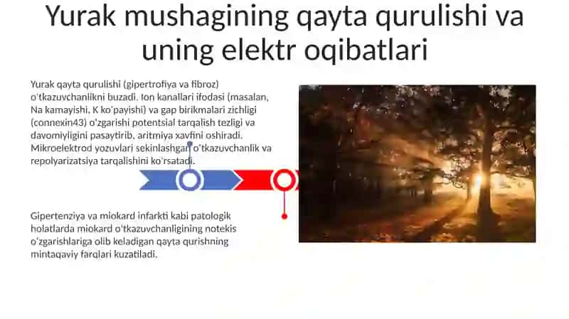 Yurak mushaklari òtkazuvchanligi òzgarishi fiziologik asosi 3