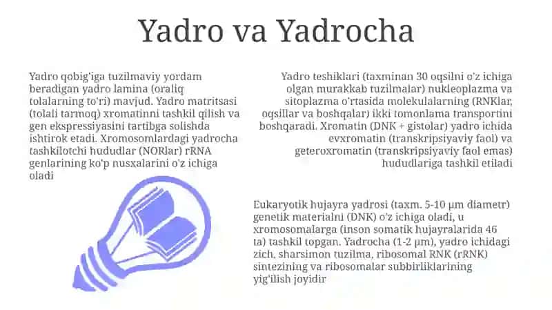 Eukariothujayralarningultrastrukturaviytuzilishi 3