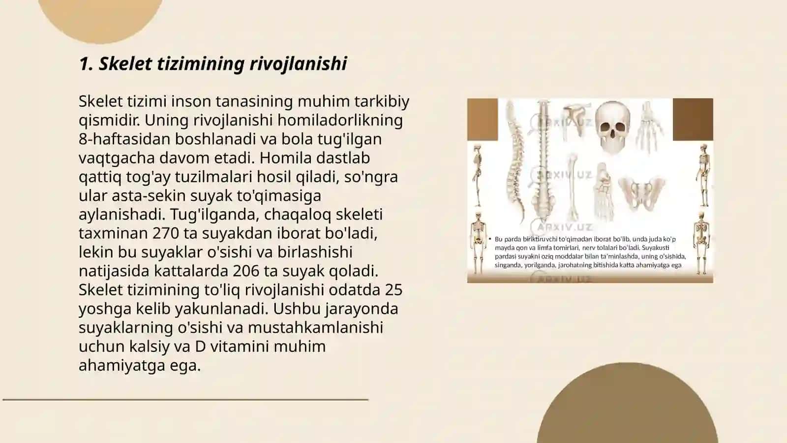 Skelet tizimi filogenezi va buzilishlari 3