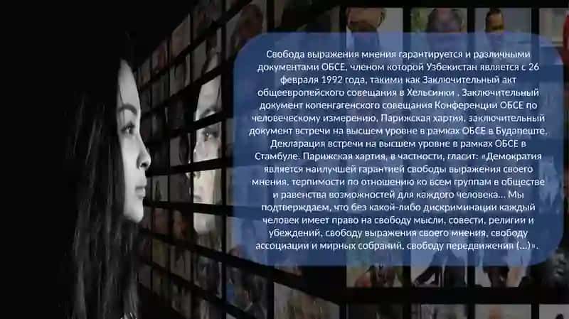МЕЖДУНАРОДНЫЕ СТАНДАРТЫ В ОБЛАСТИ СВОБОДЫ ВЫРАЖЕНИЯ МНЕНИЯ И РЕГУЛИРОВАНИЯ ДЕЯТЕЛЬНОСТИ СМИ 3