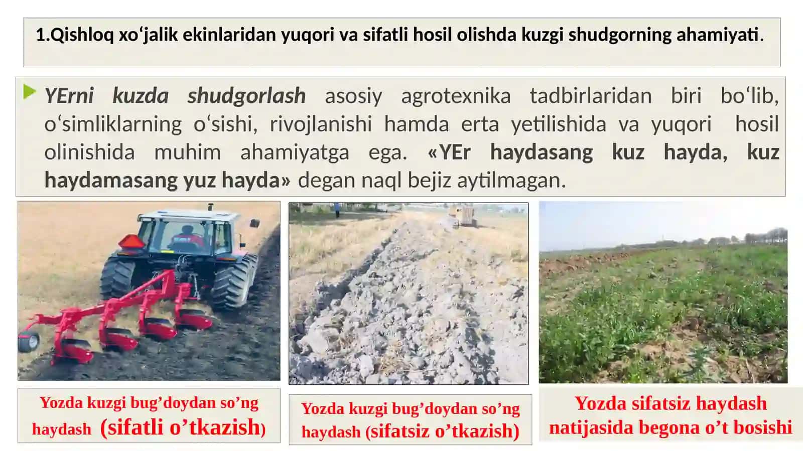 KUZGISHUDGOR.GALLA VA BOSHQA YOPPASIGA EKILGAN EKINLARDAN BO’SHAGAN YERLARNI HAYDASH 3