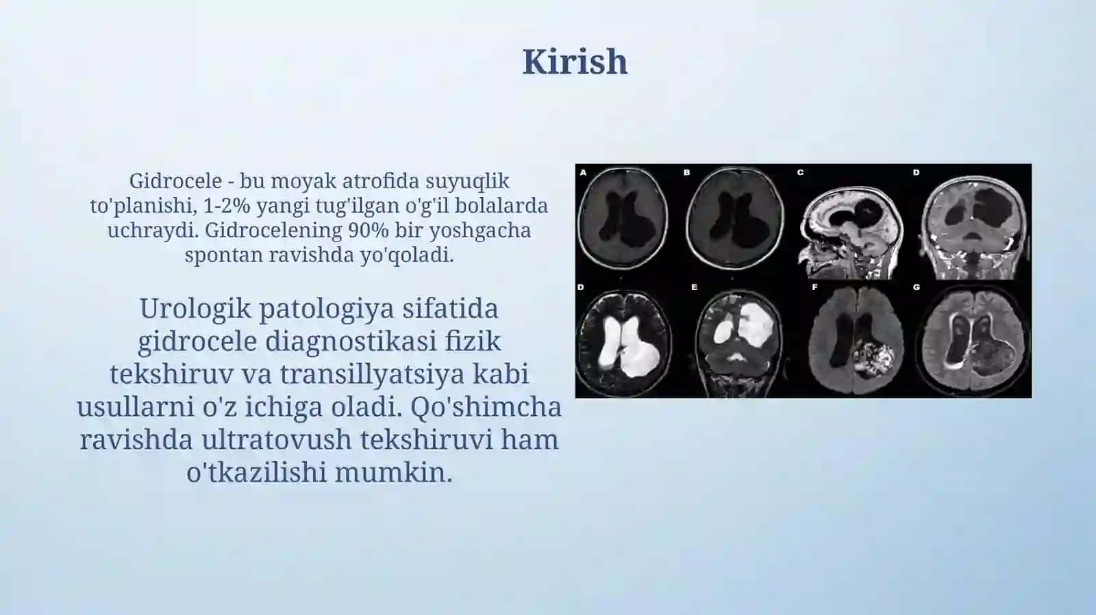 Idrok haqida tushuncha va tibbiyot bilan bogʻliq jihatlari 3