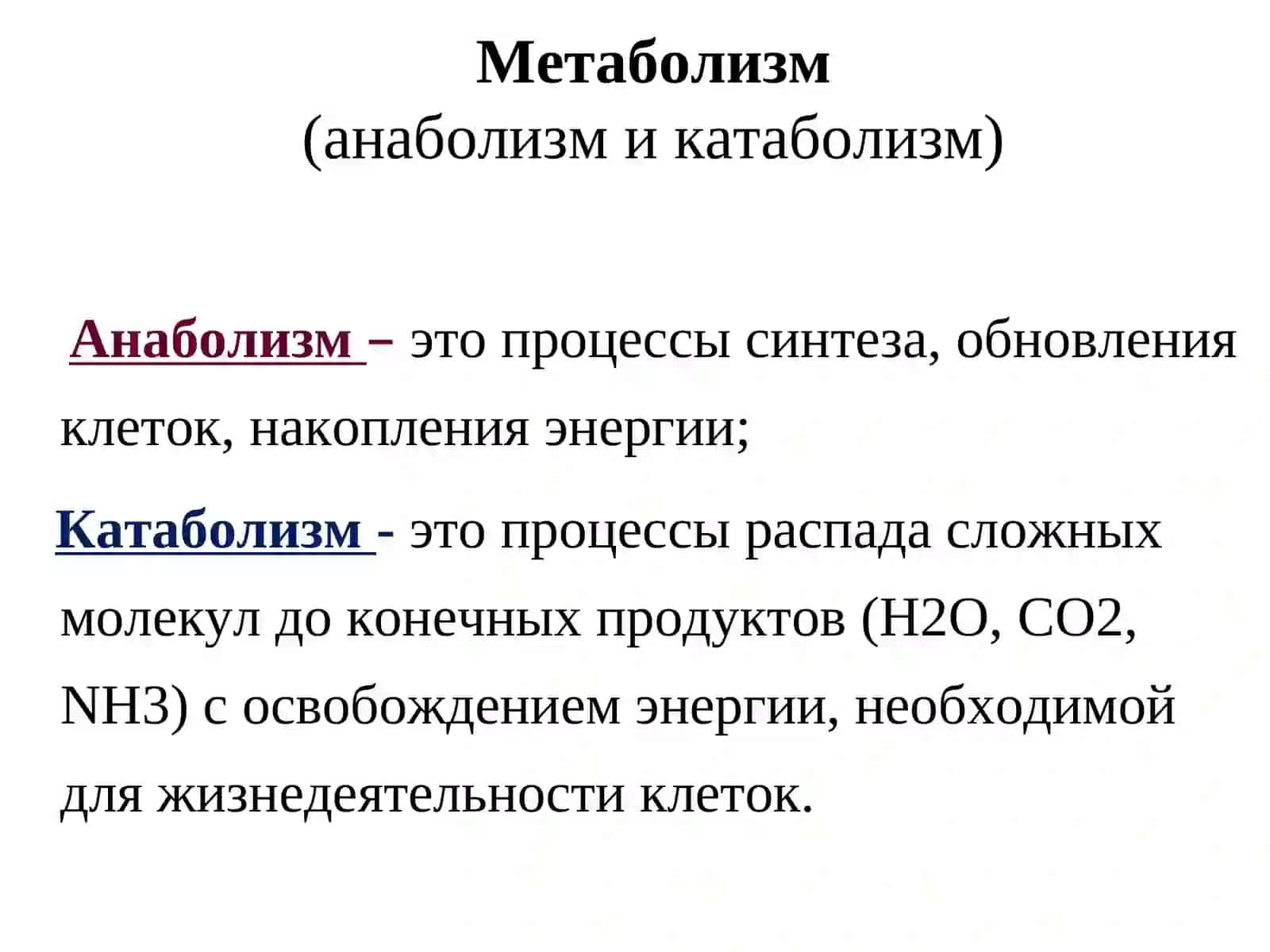 ФИЗИОЛОГИЯ ОБМЕНА ВЕЩЕСТВ И ЭНЕРГИИ. ТЕРМОРЕГУЛЯЦИЯ 3