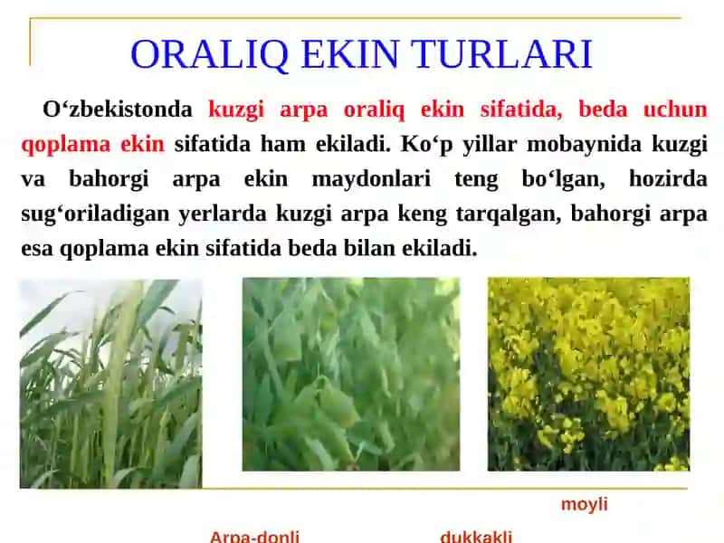 ARPABIOLOGIYASI VA YETISHTIRISH TEXNOLOGIYASI“O‘simlikshunoslik”fani 3
