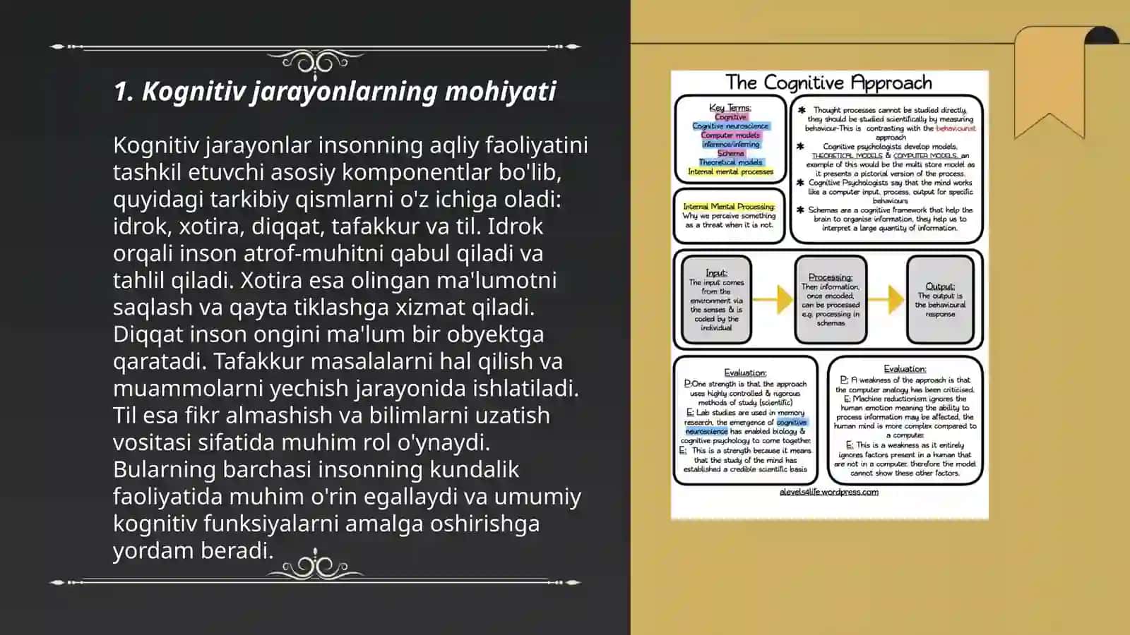 Kognitiv jarayonlarni shakllanishi 3
